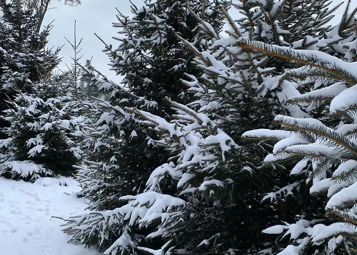 Hakerówka * Szklarska Poręba