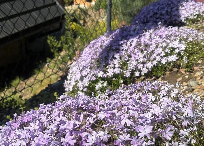 Hakerówka * Szklarska Poręba