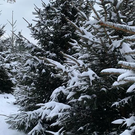 Hakerówka * Szklarska Poręba