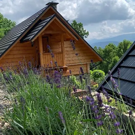 Appartement Hakerówka