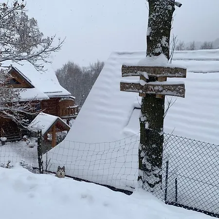 Hakerówka Appartement *