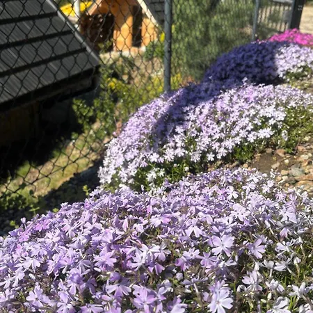 Hakerówka * Szklarska Poręba