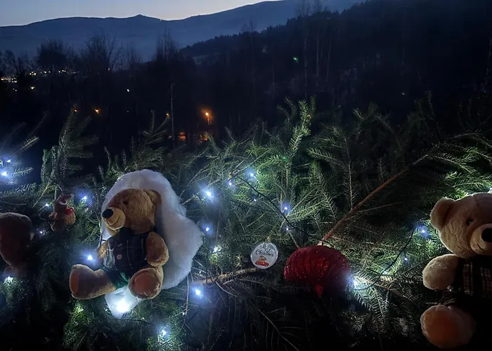 Hakerowka شكلارسكا بوريبا